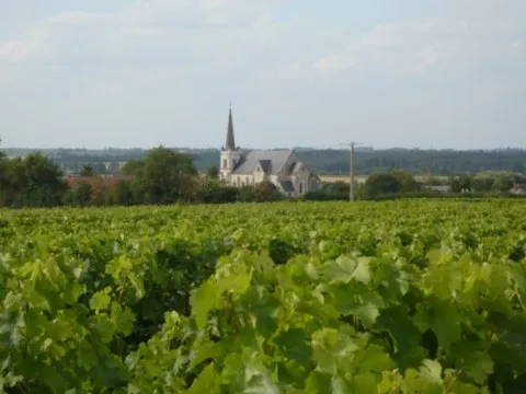 St Georges sur Layon en Anjou